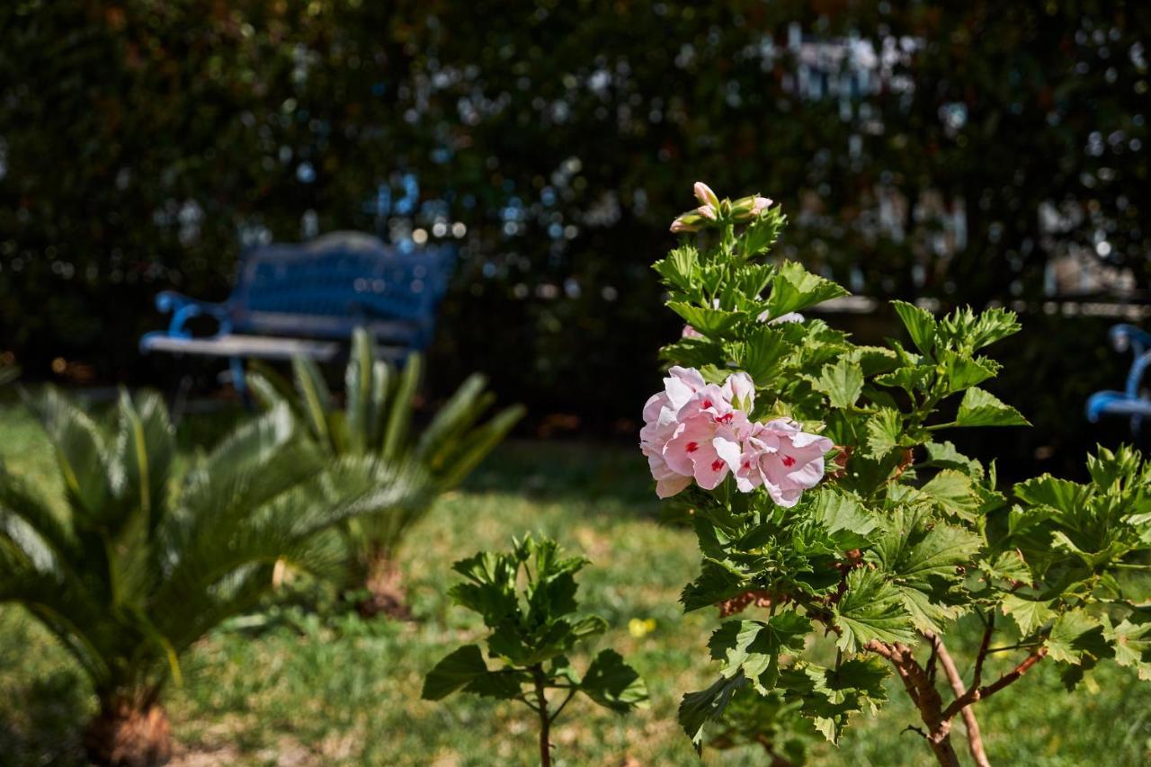 Gasthuis Il Giardino Di Flora Con Piscina *