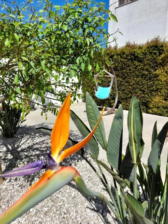 Il Giardino Di Flora Con Piscina Gasthuis Lecce